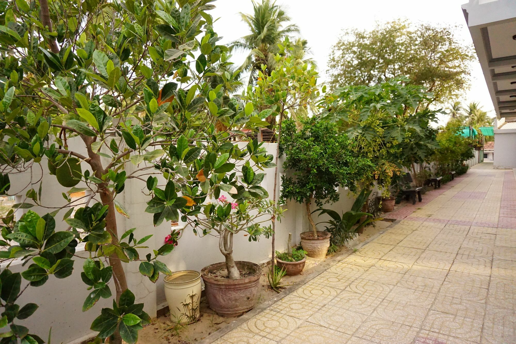 Cat Tien Guesthouse Mui Ne Luaran gambar